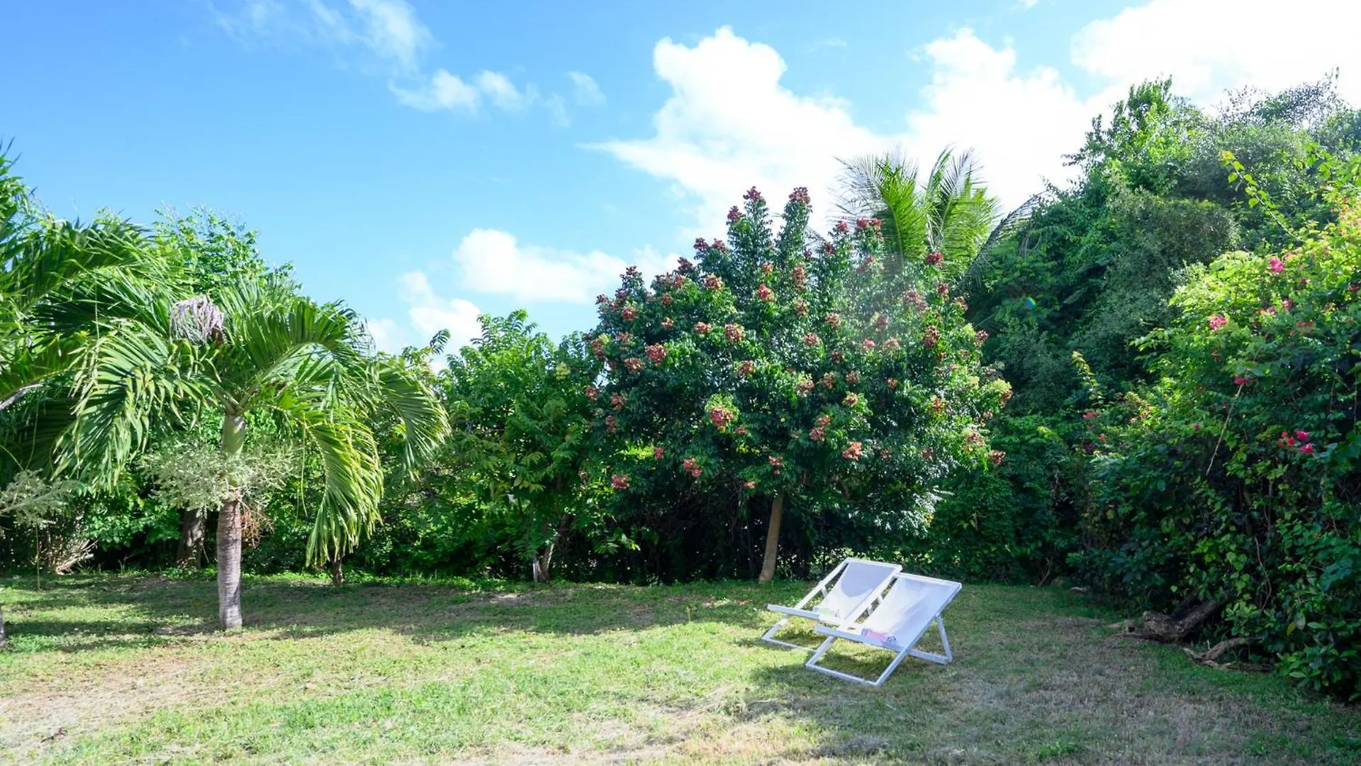 Holiday home Ti'Kazmg Vanille Capesterre
